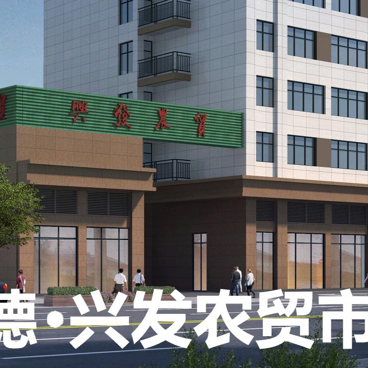 哲老师的小号