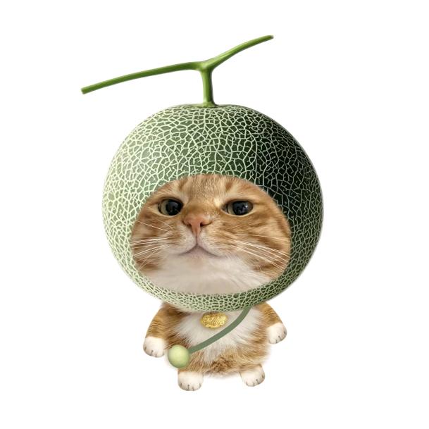 小面