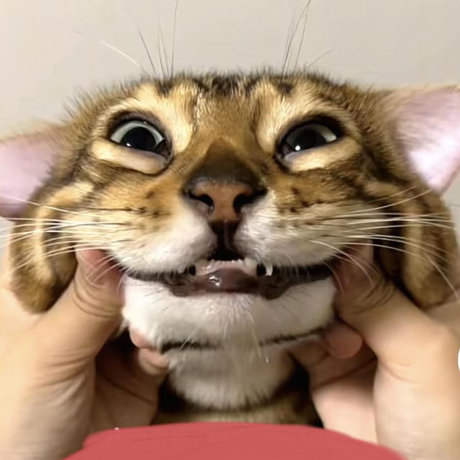 不会上篮的后卫
