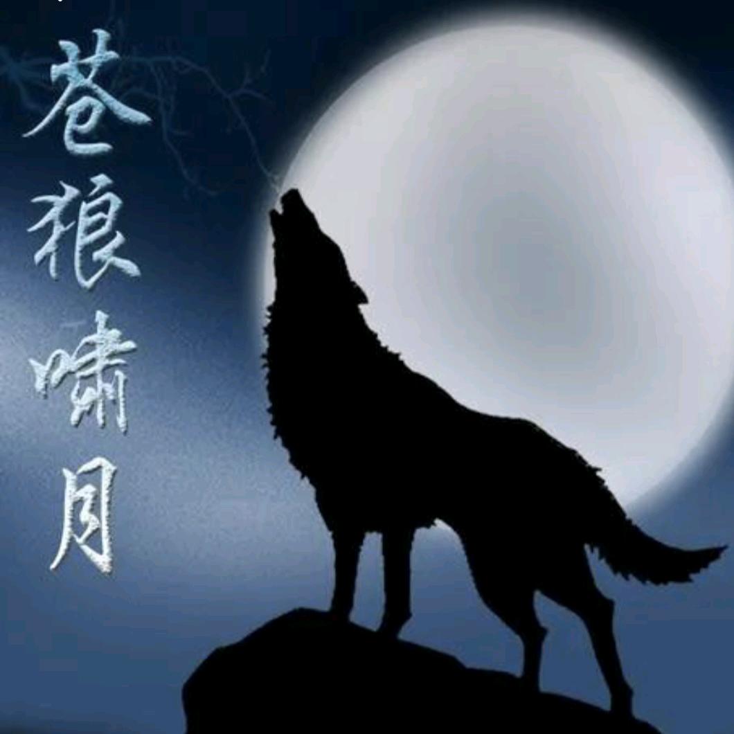 এ᭄🥀苍狼啸月！【伤心的人】