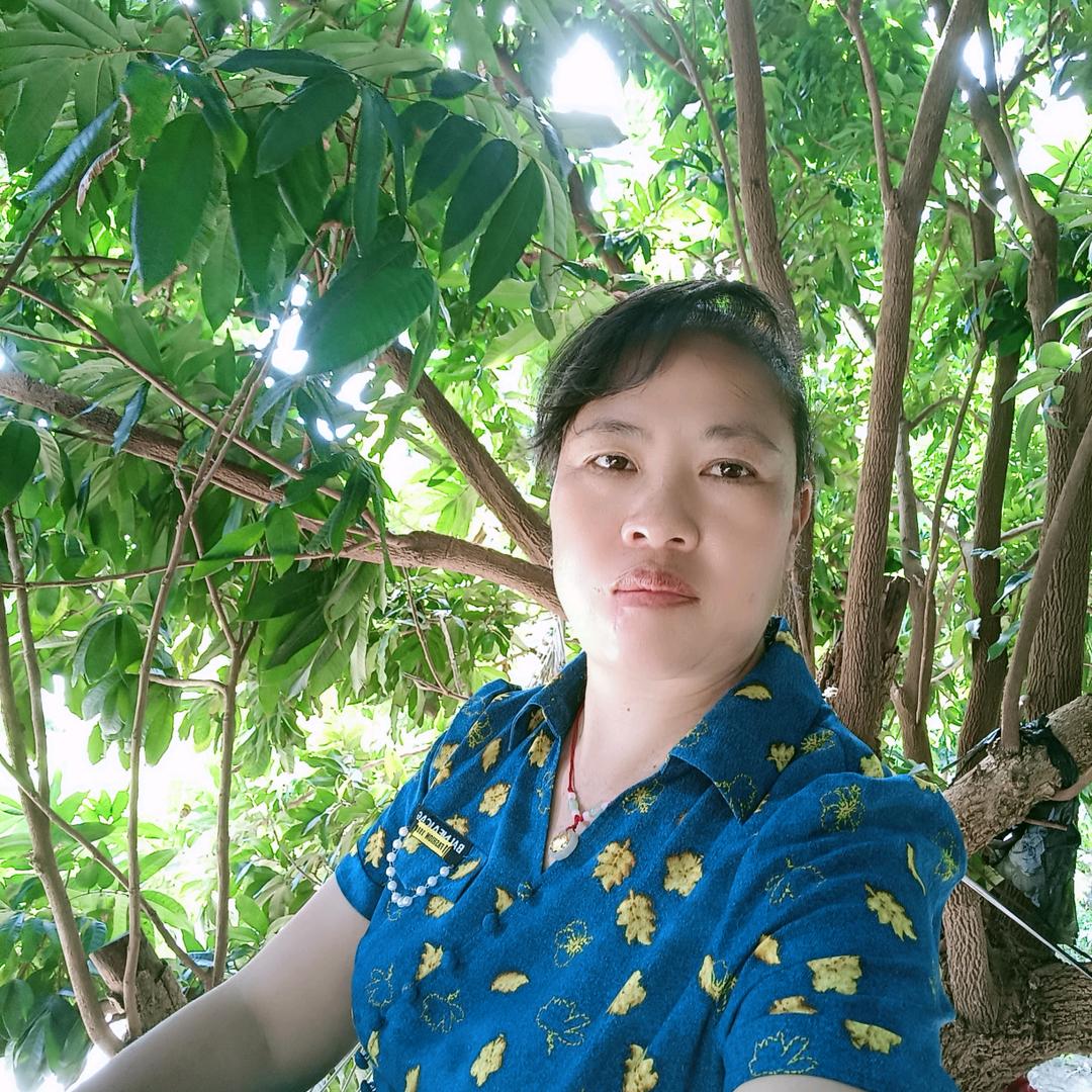 五姐姐中午11:10开播。