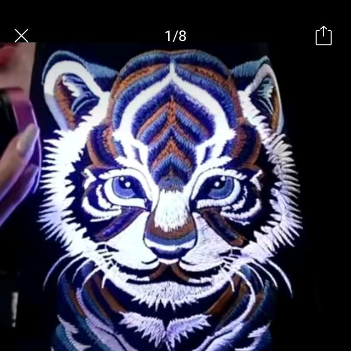 悠悠我心的🐯宝