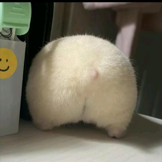 纳爱斯品质生活推荐官（上海杨旭）