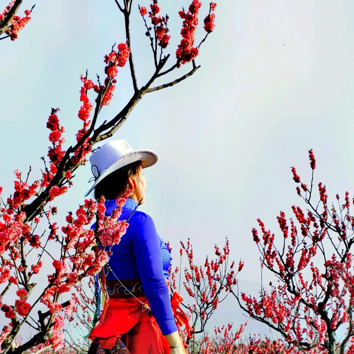 小芳