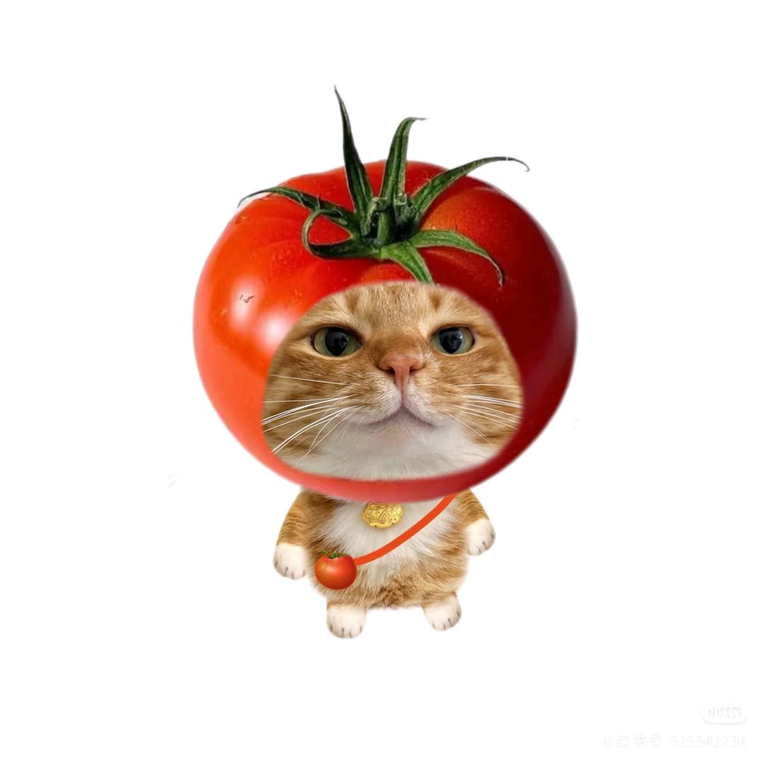 土豆帮帮主