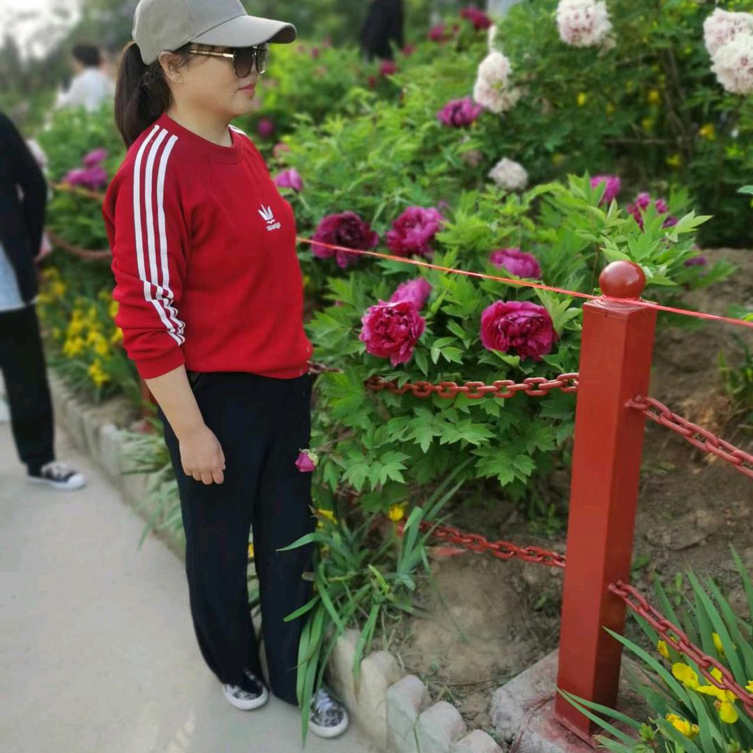 小陈和平精英
