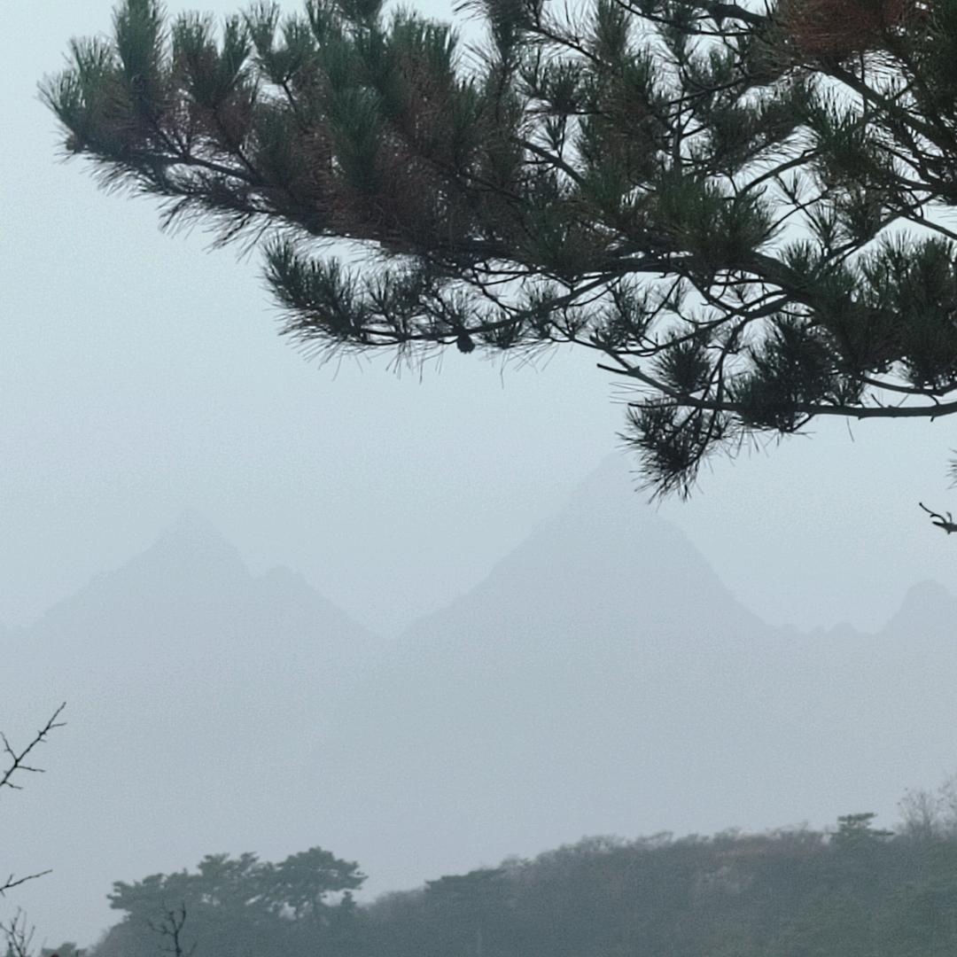 爱笑的久久