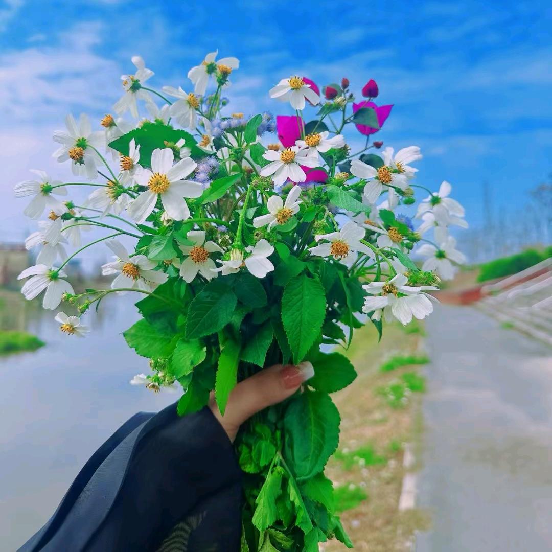 🎈携手便是一生🎈