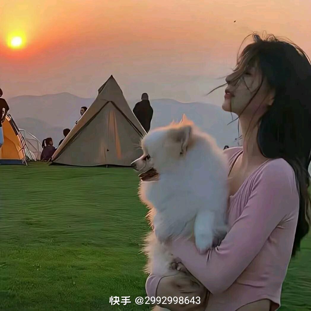 李佳纾
