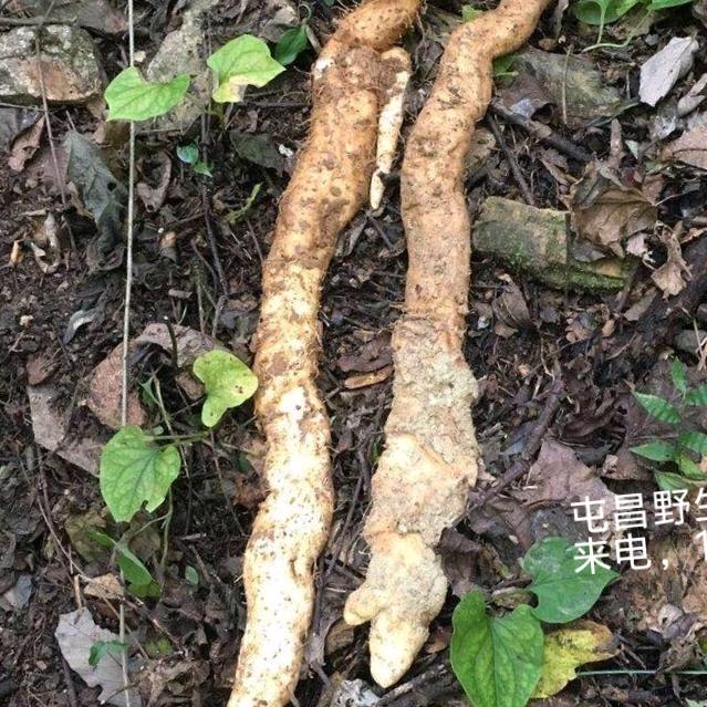 无聊