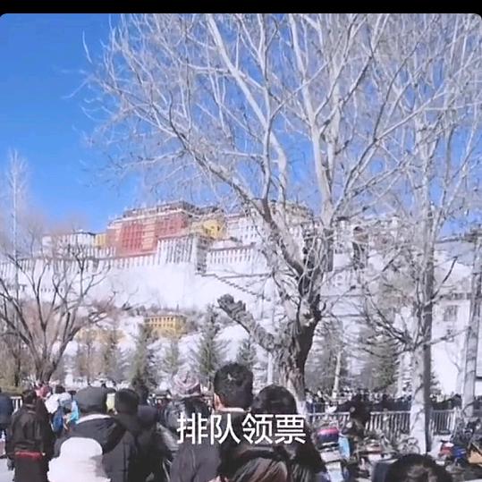 建伟