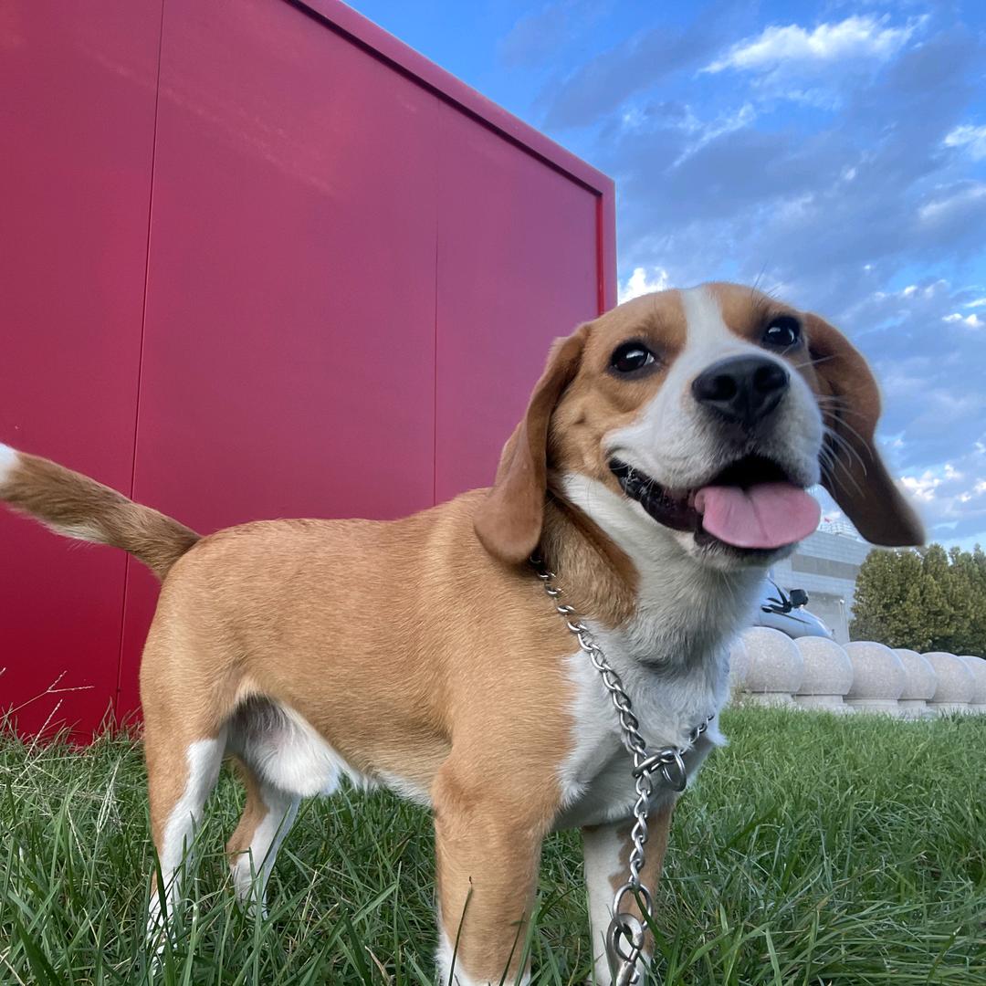 Lucky Make手作DIY官方号