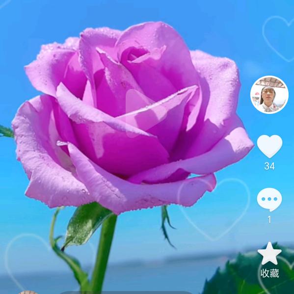 豆腐小西施💞