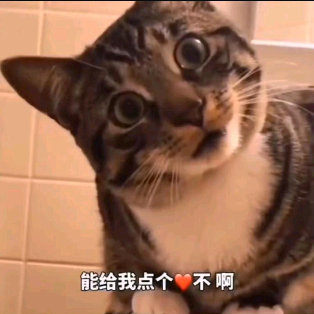逗哥搞笑