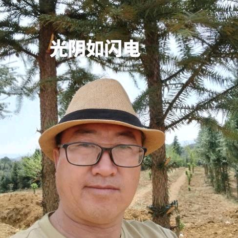 新桥安窝铲车出租哥