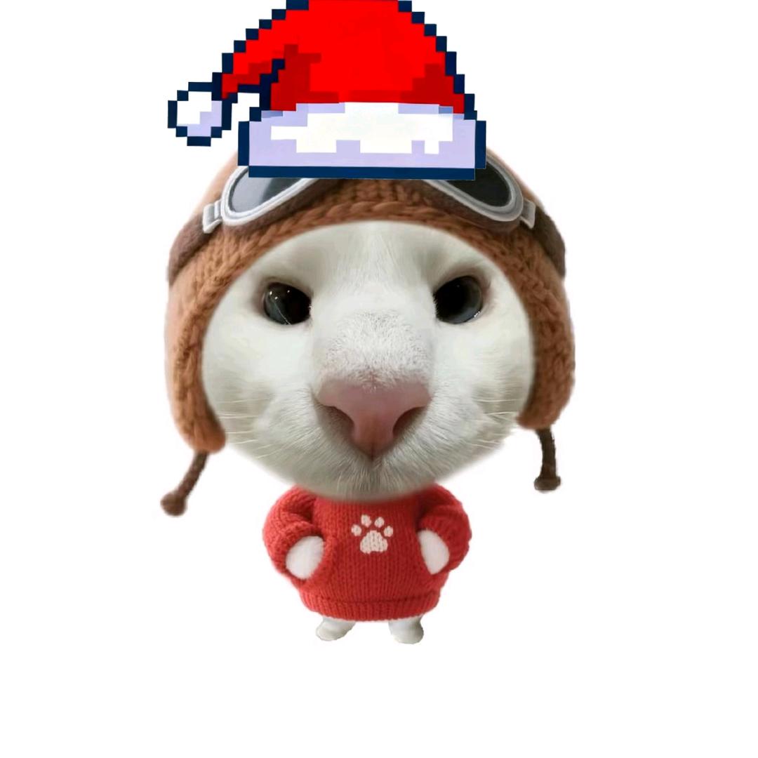 不达二级不改名