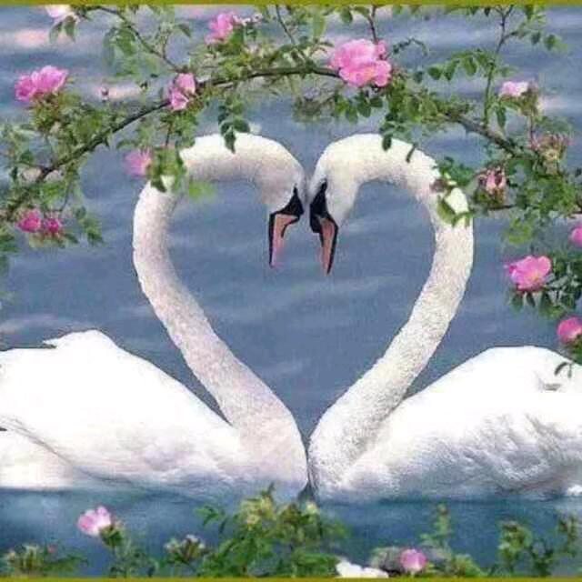 姓名艳子🍀🌹💐