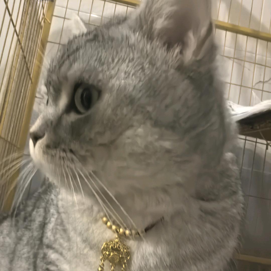 爱笑的三月