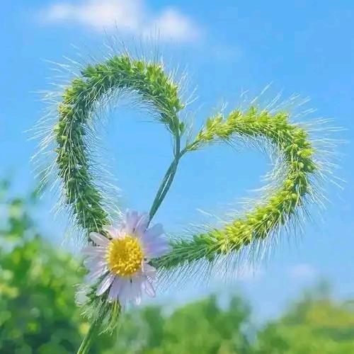 🍓熟悉到陌生🍓