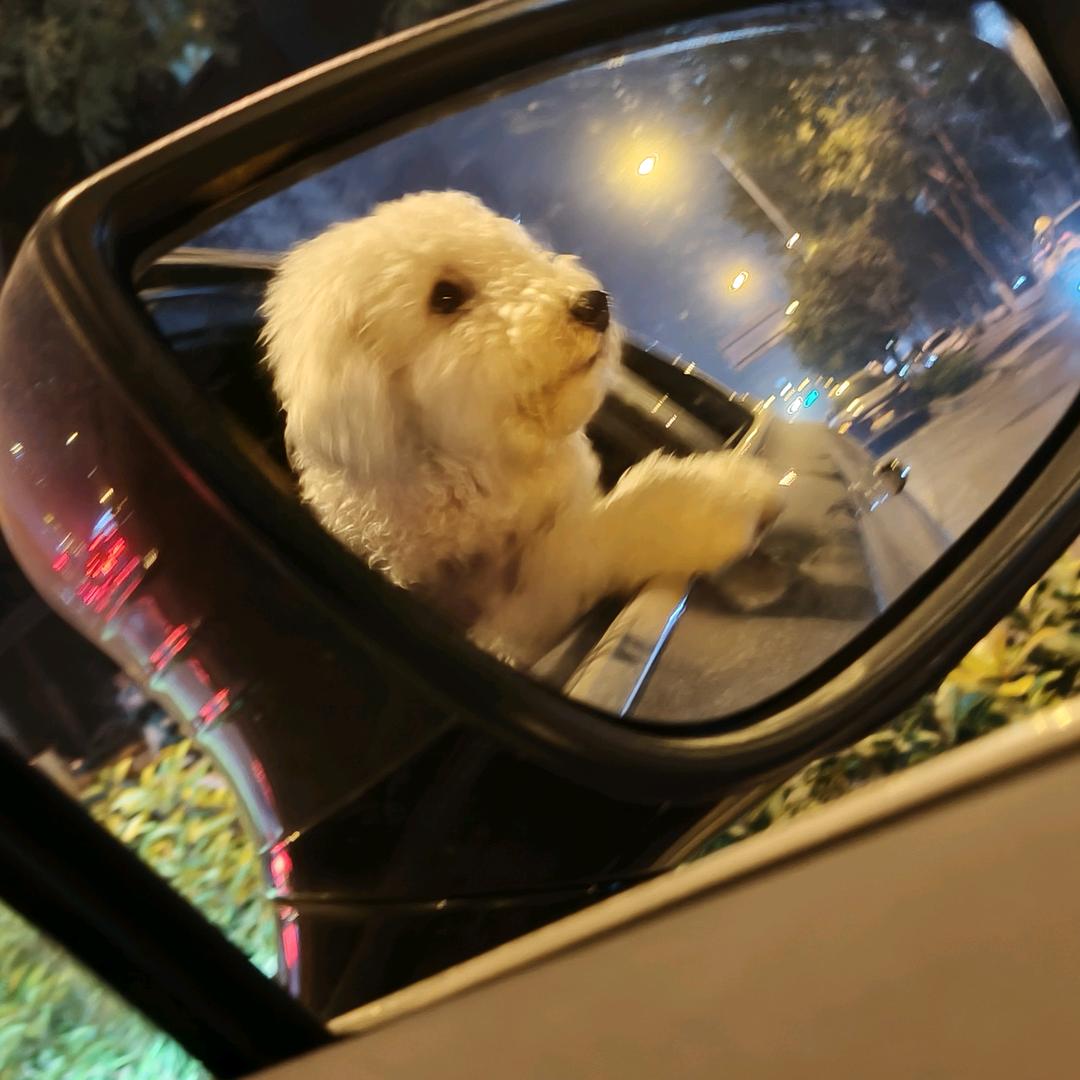 熊猫潮玩杂货店