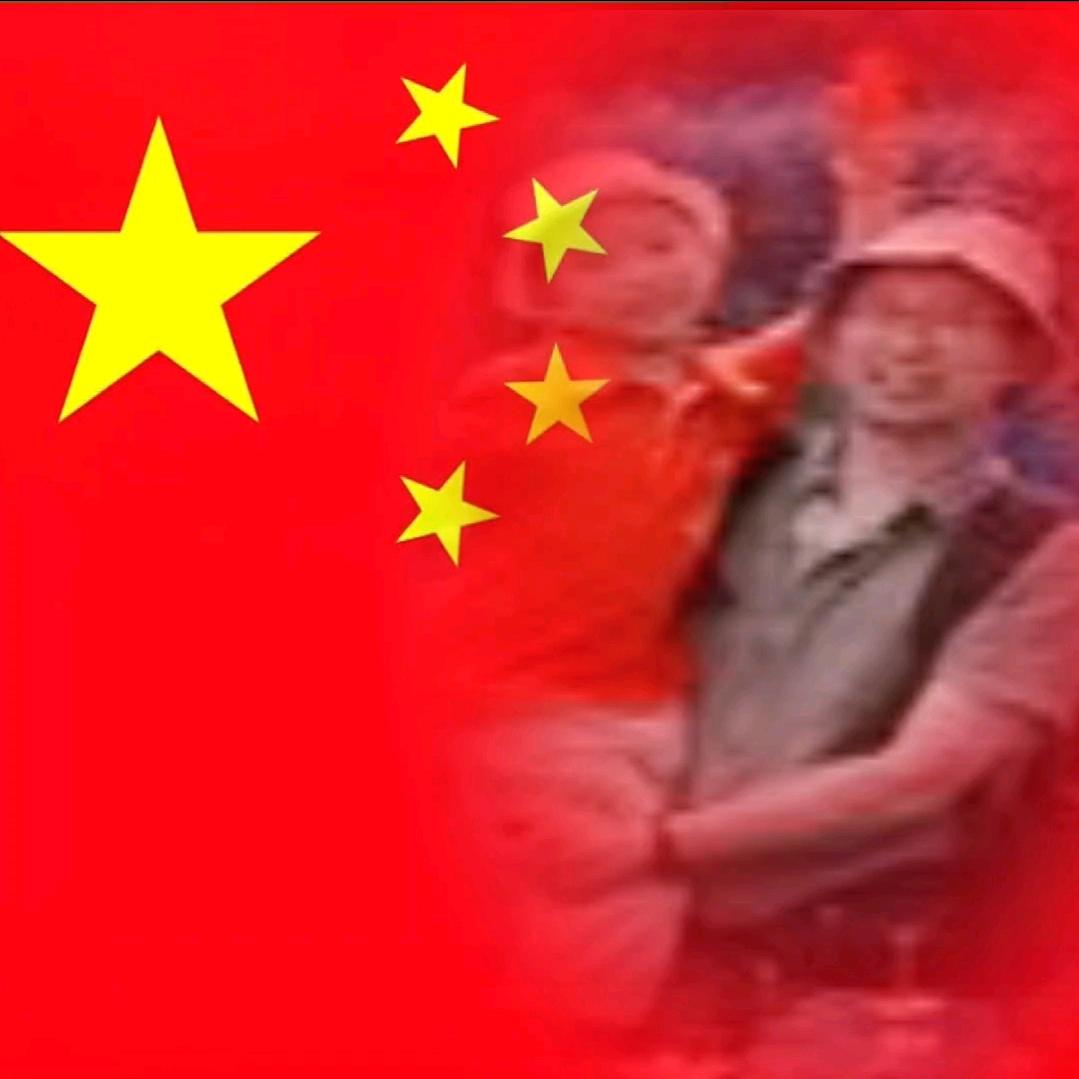 金枪鱼