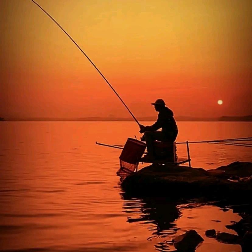 老朱，红木.木纹绘画