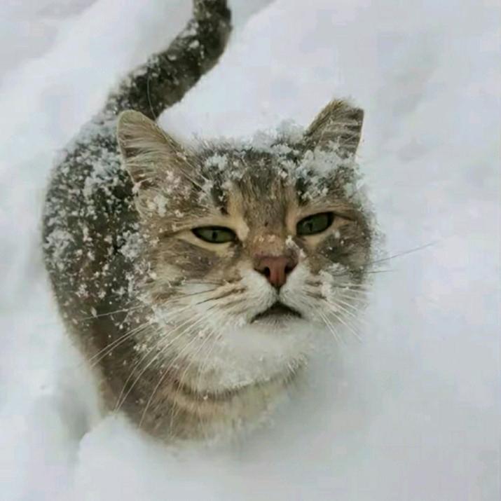 梅雨季