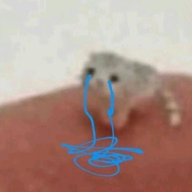 酸菜鱼呀吼