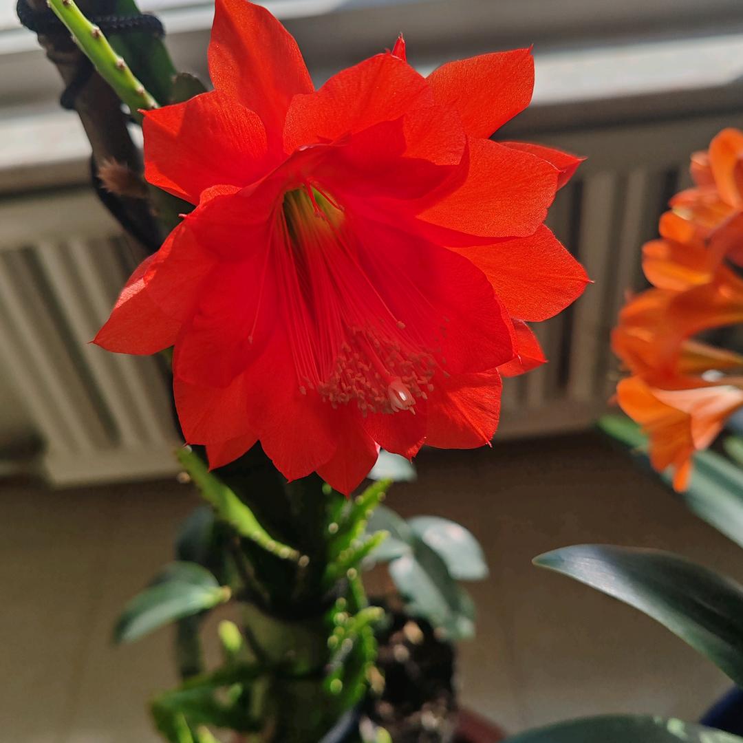 余生只有幸福