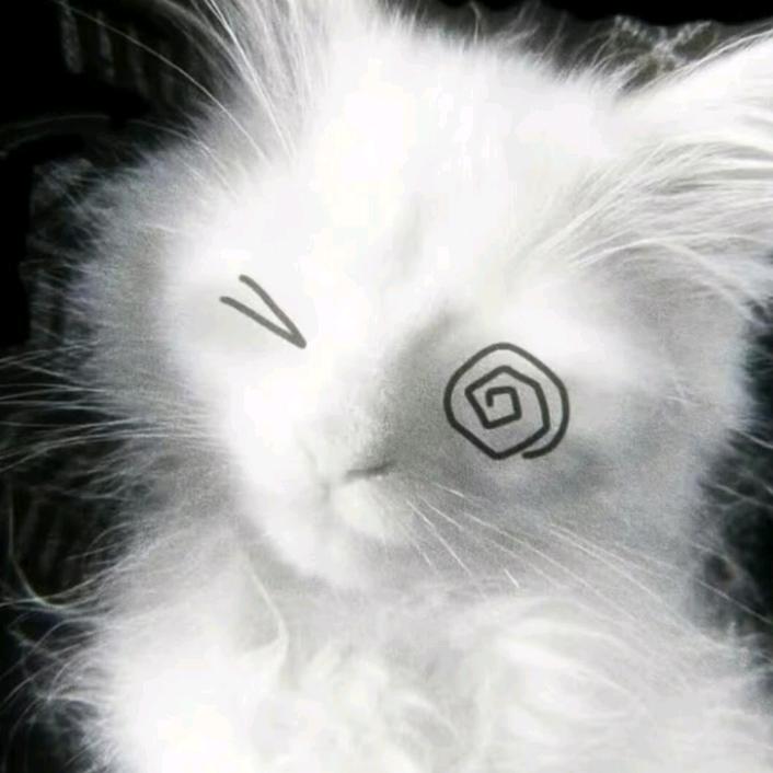 橹味小灼(全网最恨橹穆批账号)