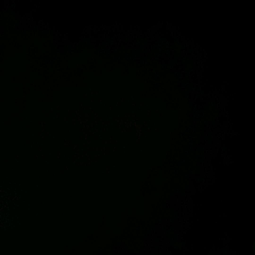宁缺毋滥。