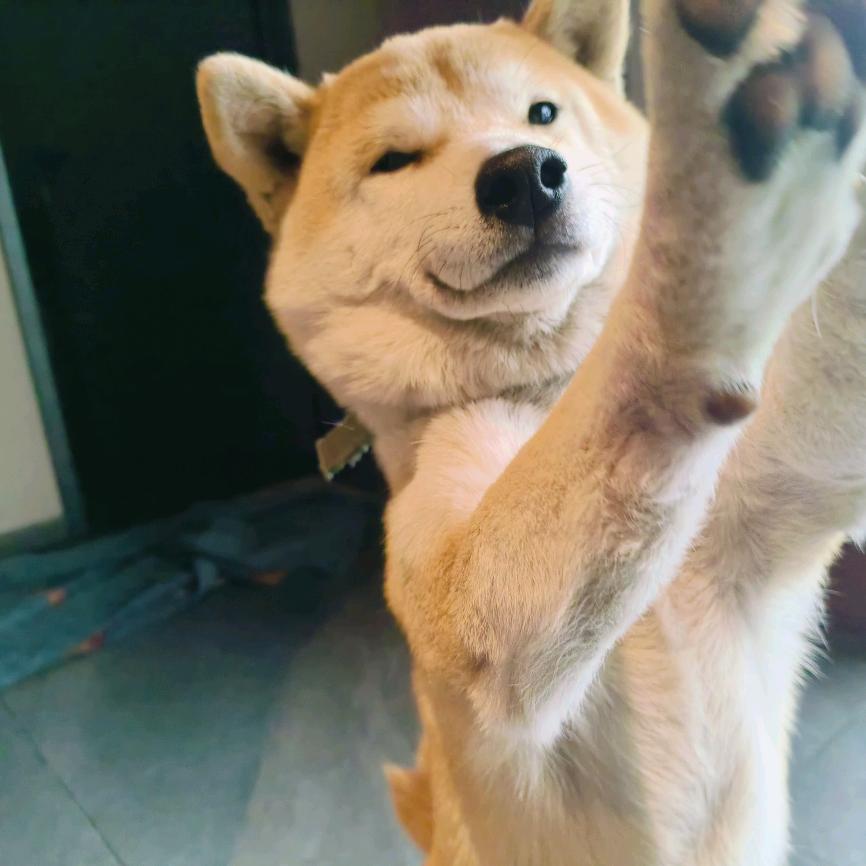 霜降