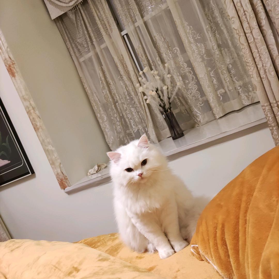 平凡的女人