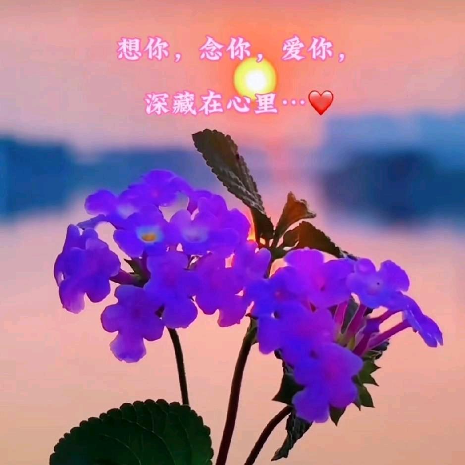 平平安安
