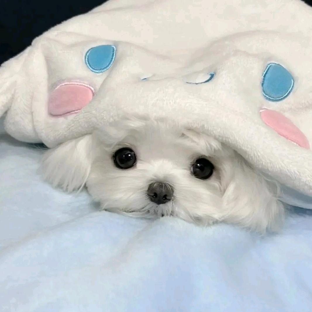 钰钰钰