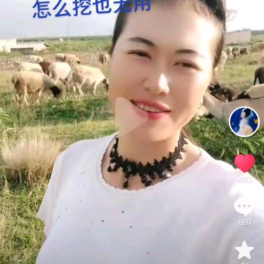 坚强的我小号