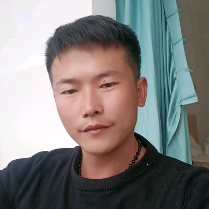 🌺专业木材砍伐