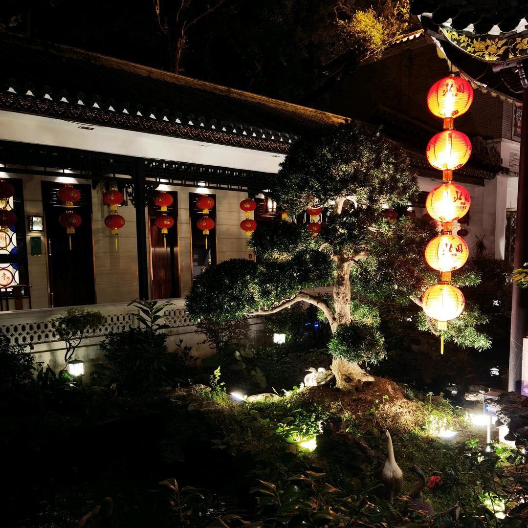 龙叔