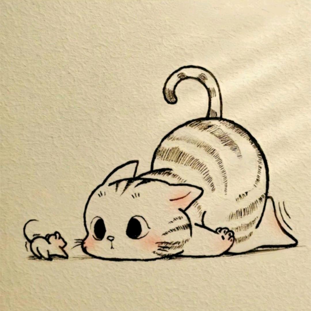 开心每一天