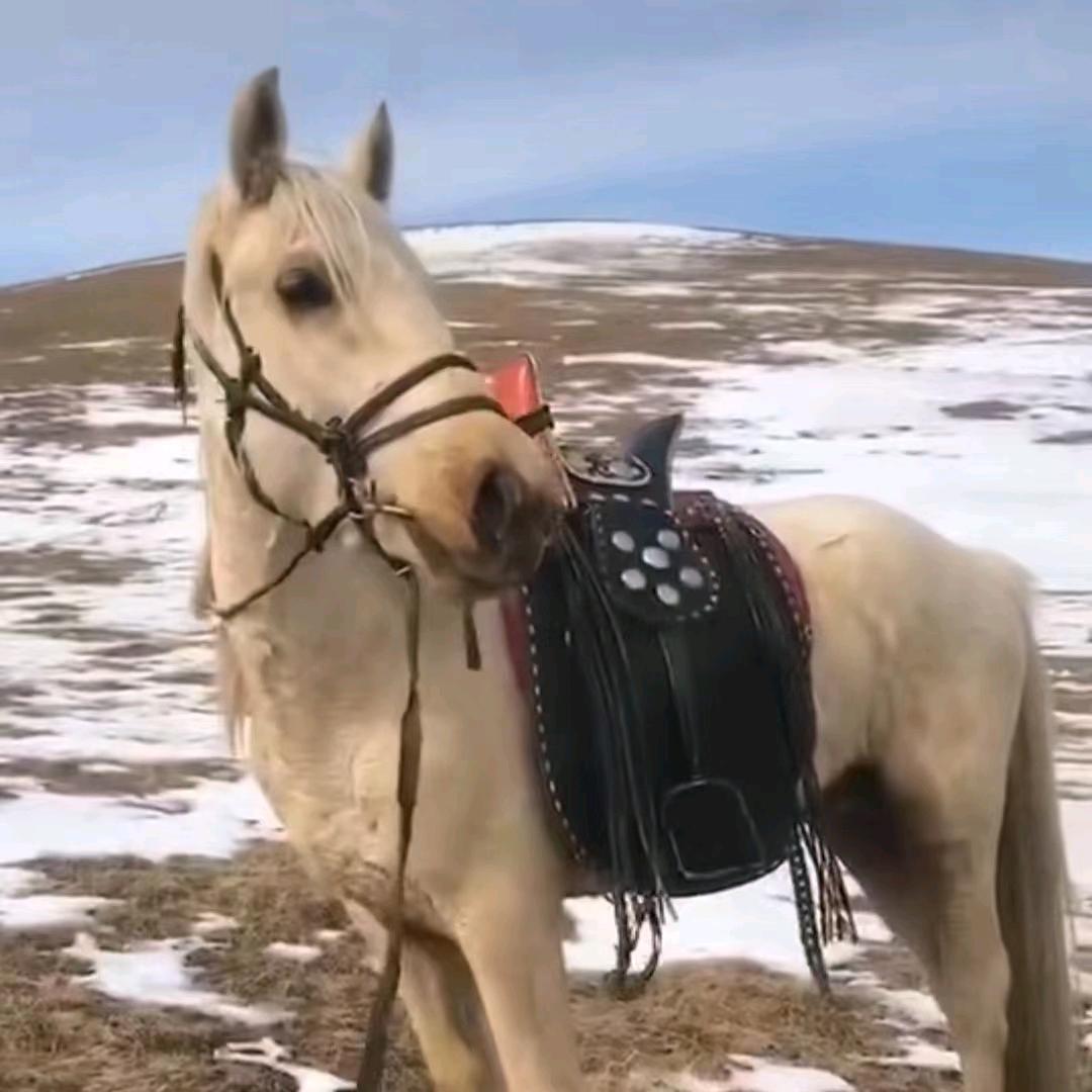 阿都沁