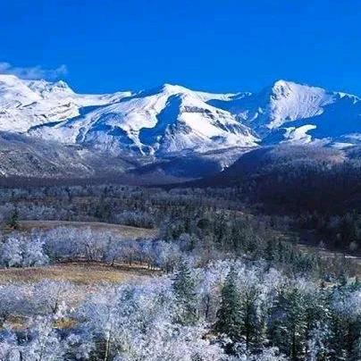 吉林山中宝优选