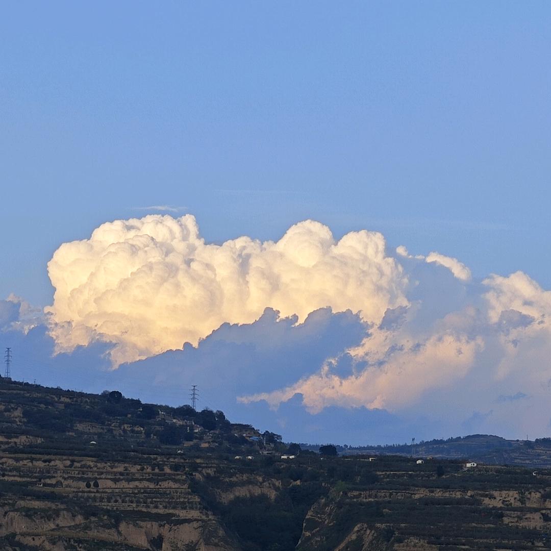 青青～陌上桑（静宁苹果版）