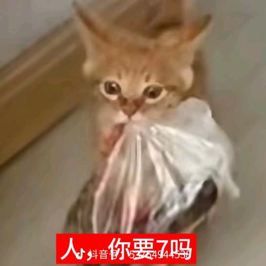 ঞৣ余生一💞杯酒℘᭄ᩚ꯭