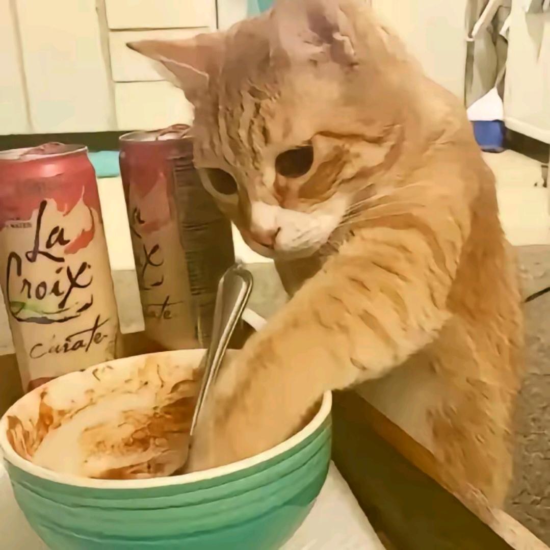 谁给我只猫