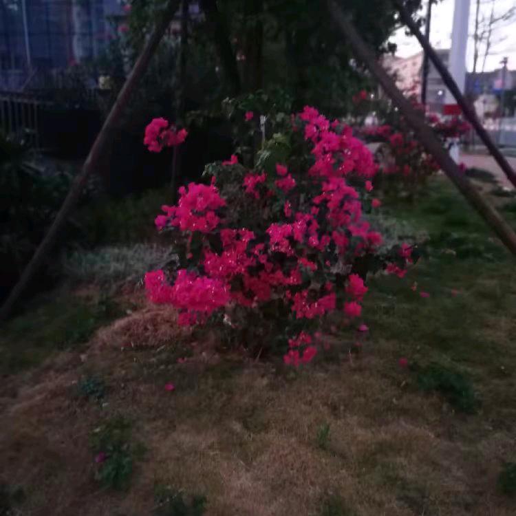 建国