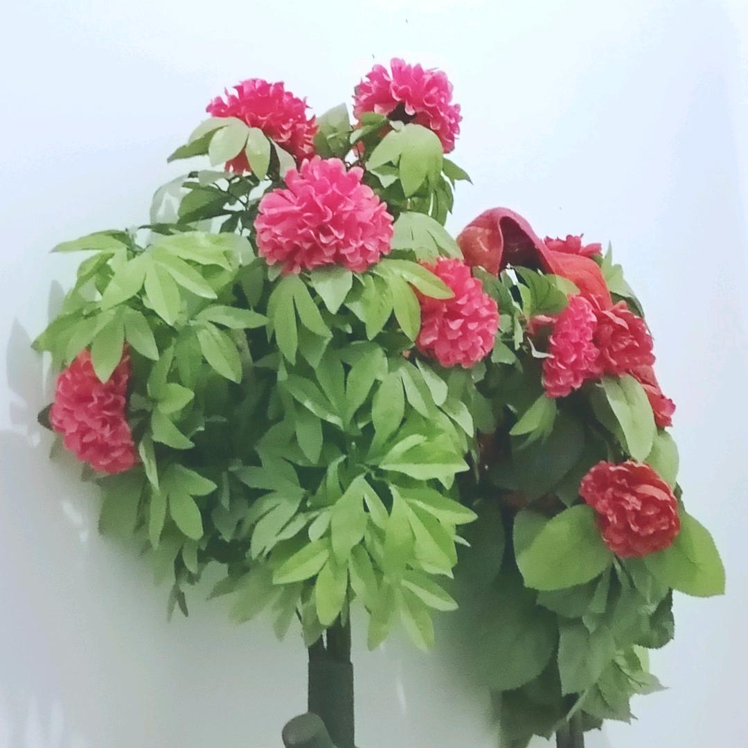 沾酒醉