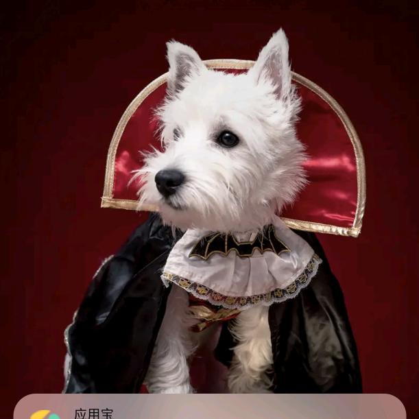 卡卡