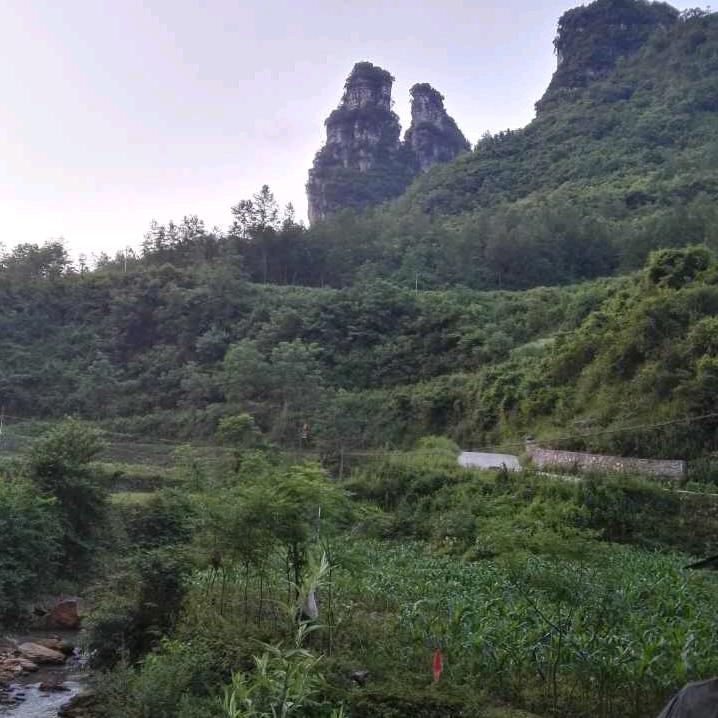 梦
