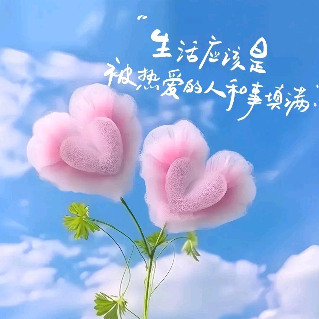 💞᭄ཽ࿆多财 多亿꧔ꦿ᭄❀ 🦋