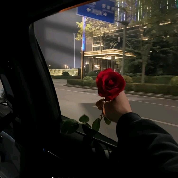 TO  love you is hard